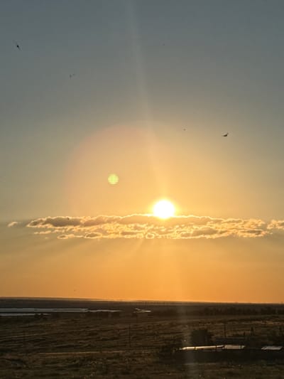 A serene sunset scene unfolds over the outskirts of Budyonnovsk, Russia. The sun, a brilliant orb, hangs low in the sky, partially obscured by a band of fluffy clouds. Rays of golden light pierce through the clouds, casting a warm glow over the landscape. In the distance, a vast expanse of dry, grassy terrain stretches towards the horizon, dotted with a few structures and bodies of water. The sky transitions from a pale blue at the top to a vibrant orange and yellow as it nears the horizon, reflecting the sun's radiant descent. A few silhouetted birds can be seen gracefully soaring in the sky, adding a touch of life to the tranquil setting. The overall atmosphere is one of peace and natural beauty, characteristic of a rural sunset.