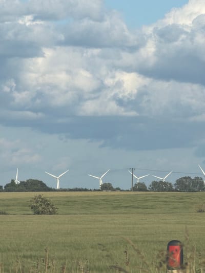 The image depicts a wide, flat landscape dominated by a field of tall green grass, likely a crop such as wheat or barley, in the foreground. In the mid-ground, a line of wind turbines stands silhouetted against a cloudy blue sky. These turbines are spaced evenly along a gentle rise, partially obscured by a band of dark green trees. A single, small, bushy tree with lighter green foliage stands isolated in the field. In the far distance, the sky is filled with dramatic, heavy clouds. A red and black marker post is visible in the lower right corner of the image, partially obscured by dry grass stalks. The scene suggests an open, rural environment. While the image is stated to be of Peterborough, UK, the visual information does not provide specific landmarks to confirm this location.
