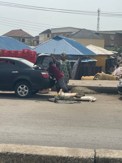 This image depicts a daytime street scene in Awjaw, Nigeria, showing a loading activity in an urban market or commercial area.
In the foreground, a black sedan, possibly a Toyota Camry, is parked on a paved asphalt road with its trunk open. A male individual, wearing a red t-shirt, light-colored shorts, and dark shoes, is bent over and reaching into the open trunk, appearing to load or unload items. His back is largely to the viewer. Adjacent to him, a female individual stands upright, dressed in a patterned, multi-colored long garment (possibly blue, green, and yellow) with a matching headwrap. She is facing slightly towards the car and the man, with her right arm raised, possibly holding the trunk lid or indicating.
On the asphalt near the rear of the car, a large, light-colored sack with visible text including "WHOLE GRAIN" rests on a dark ground covering, likely containing granular material. Another smaller, possibly red, sack is partially visible under the car's rear bumper. Further to the right, beyond a concrete curb, an uneven dirt area features several large, woven sacks piled, likely filled with produce or goods.
The background consists of various buildings under a bright, clear sky. Several structures feature distinct blue corrugated metal roofs, indicative of market stalls or commercial buildings. Behind these, other buildings with varying roof types (brown tile, dark grey corrugated, flat) are visible, suggesting a mix of commercial and residential architecture. Stacked red plastic crates are visible under one of the blue-roofed structures in the mid-ground. Overhead, multiple power lines traverse the scene. A tall, slender telecommunication mast is visible in the far background to the right. The overall environment suggests a bustling, open-air commercial district.
