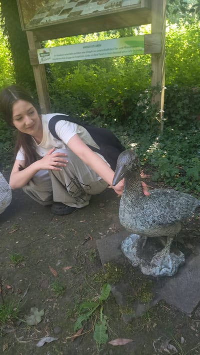 A young woman is crouching in an outdoor park-like setting, near a wooden sign with German text. The sign's text, partially visible, includes "WASSER IST LEBEN!" and information about diverse aquatic flora and fauna. The woman, with long dark hair, is wearing a white t-shirt, grey sweatpants, and black shoes. She is looking at and gently touching a bronze statue of a bird, possibly a duck, which is situated on a stone base. The ground is a mixture of dirt, leaves, and sparse grass. Behind the woman, dense green foliage and trees form the backdrop, suggesting a natural or park environment within the city of Rain, Germany.