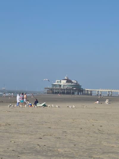 The image depicts a clear, sunny day at the beach in Blankenberge, Belgium. In the background, a distinctive pier with a circular building at its end extends over the water. The pier is supported by numerous wooden pilings. The beach is sandy, with some areas showing ripples from the receding tide.
In the mid-ground, several people are present. On the left, a group of four individuals stands together; one person is wearing a white hooded garment and blue pants, another a colorful patterned shirt and blue shorts, and two others are in swim trunks. Nearby, a child is seated. A green object, possibly a surfboard or boat, lies on the sand. Numerous seagulls are scattered across the beach, with one in mid-flight.
Further to the right in the mid-ground, a woman is sitting on the sand next to a beach chair and a bag. In the distance, other people are walking along the beach and near the water. The sea is visible behind the pier, and the sky is a clear, bright blue. Several wind turbines are visible on the horizon in the far distance.