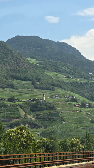 A photograph captures a verdant mountainous landscape on a clear day, with the foreground dominated by a dark brown metal railing, possibly part of a bridge or viewing platform. Beyond the railing, a dense green forest covers the lower slopes of a large mountain. The mountain is terraced with rows of vineyards, creating a striking pattern against the natural terrain. Several scattered houses and a small church with a prominent bell tower are nestled within the vineyard terraces. The sky above is a soft blue, dotted with a few wispy white clouds. The scene is likely a rural area near Bolzano, Italy, known for its wine-producing regions.