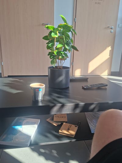 A coffee cup sits on a dark table in what appears to be an office in Dąbrówka, Poland. The coffee cup is white with black and yellow text and a lid. To the left of the cup is a book with a blue and white cover. Behind the cup and book, a potted plant with green leaves is visible in a dark gray pot. Two remote controls are placed on the table behind the plant. The background shows a wooden door with a silver handle and a sign that reads "[___ TEMP] BIURO". Sunlight streams into the room, casting shadows on the table and floor. A person's leg, wearing dark shorts, is visible in the lower right corner of the frame, indicating their presence in the scene.