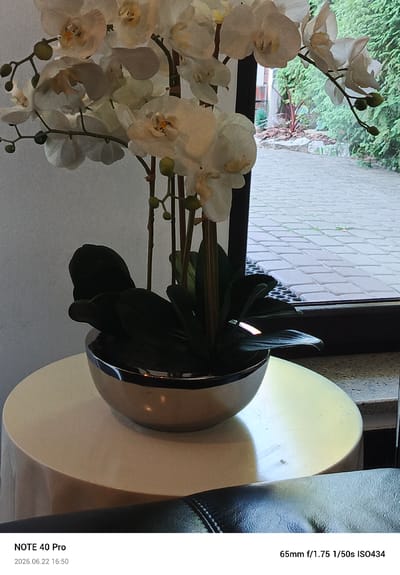 This media file is a photograph of an artificial orchid plant in a silver bowl, placed on a white circular table. The plant has white petals and green leaves. Behind the plant, a window overlooks an outdoor scene with a paved walkway and greenery.

The bottom of the image displays text, including "NOTE 40 Pro", "2026.06.22 16:50", and "65mm f/1.75 1/50s ISO434". This indicates the device used to take the photo, the date and time of capture, and the camera settings.

The scene appears to be indoors, looking out towards a garden or patio area. The time of day is approximately 4:50 PM on June 22, 2026. The weather is not explicitly discernible but the lighting suggests it is daytime. The location context provided is Kamionka, Poland. There are no people visible in the photograph. The overall mood is still and observational.