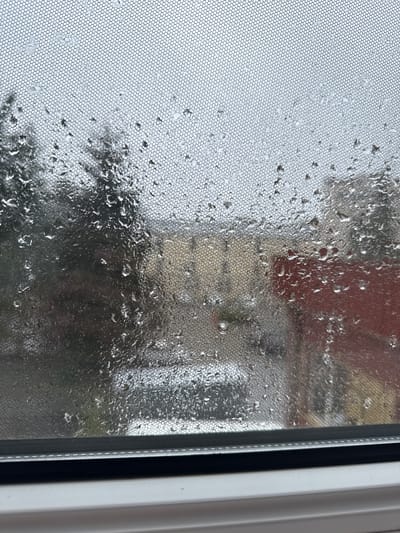 This is a close-up, eye-level photograph taken through a window with a mesh screen, showing raindrops obscuring the view of an outdoor scene in Zielona Góra, Poland. The mesh screen, with its hexagonal pattern, is coated with numerous water droplets of varying sizes, some appearing as small beads, others as larger, elongated streaks. The droplets distort the background, creating a hazy and abstract effect.
Beyond the screen, the environment appears to be an urban setting, likely a residential or mixed-use area. A building with a yellow facade is visible in the mid-ground, its details blurred by the rain and screen. To the right, a section of a red brick building is discernible. In the foreground, there are suggestions of trees with dark foliage, also heavily affected by the water on the window. A grey vehicle, possibly a car, is partially visible in the lower-mid section of the frame, its form indistinct. The overall lighting suggests an overcast day, consistent with rainy weather. The bottom of the image shows a white window frame with a dark horizontal sealant strip. There are no people or animals directly visible in the scene.