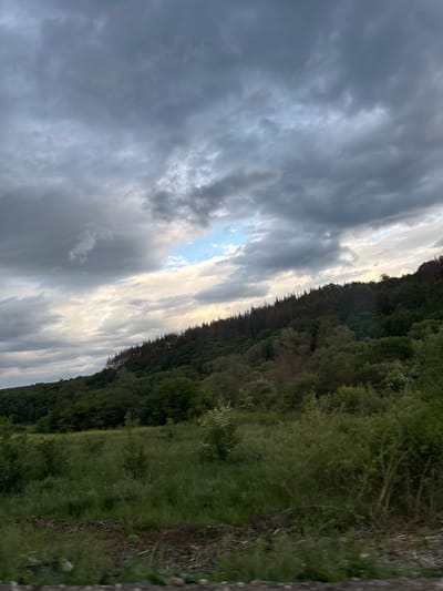 The image depicts a landscape scene with a dense forest on the right side and a cloudy sky on the left. The sky is dominated by grey clouds with patches of lighter, brighter sky peeking through. The forest consists of various shades of green. A field with lush green grass sits beside the forest. The image is rotated, so the sky appears to be on the side. The precise location within Baylovo, Bulgaria cannot be determined from the image.