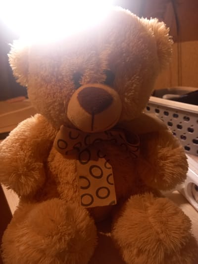 This image shows a close-up, head-on view of a tan teddy bear. The teddy bear is wearing a light brown bow with dark brown circles around its neck. The teddy bear's fur is fluffy and textured. The background is out of focus and appears to be an indoor setting with warm lighting. There is a white electrical outlet visible on the right side of the image. The image was taken in Sterlibashevo, Russia.
