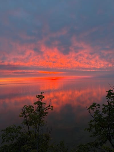 This image depicts a sunset over the Baltic Sea, viewed from the coast of Vääna-Jõesuu, Estonia. The sky is filled with dramatic clouds painted in vibrant shades of orange and pink, reflecting intensely on the calm surface of the water. The horizon line is sharp, with a band of bright orange light indicating the setting sun. In the foreground, silhouetted against the colorful sky and water, are dark green branches and leaves of trees, adding depth and framing the scene. There are no people or specific man-made structures visible, emphasizing the natural beauty of the coastal landscape.