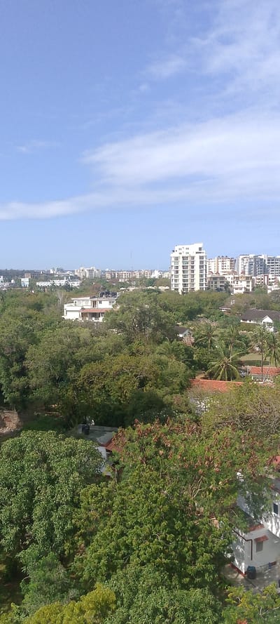 The image displays an elevated panoramic view of an urbanized area within Ziwa La Ng'ombe ward, Kenya, under a clear blue sky with scattered, wispy white clouds. The foreground and midground are characterized by a dense, varied canopy of green trees, including numerous deciduous trees and several palm trees. Interspersed within the foliage are residential structures, some with red-tiled roofs and others with flat concrete roofs, many featuring black rooftop water tanks. In the background, a concentration of multi-story buildings forms a distant skyline. A prominent tall, white high-rise building with multiple balconies is visible towards the right side of the background, surrounded by other multi-story structures of varying heights and designs. A thin, tall antenna or mast is discernible on the left side of the background cityscape. No individuals, specific actions, or interactions are visible within the scene. The environment is a mix of dense vegetation and urban development.