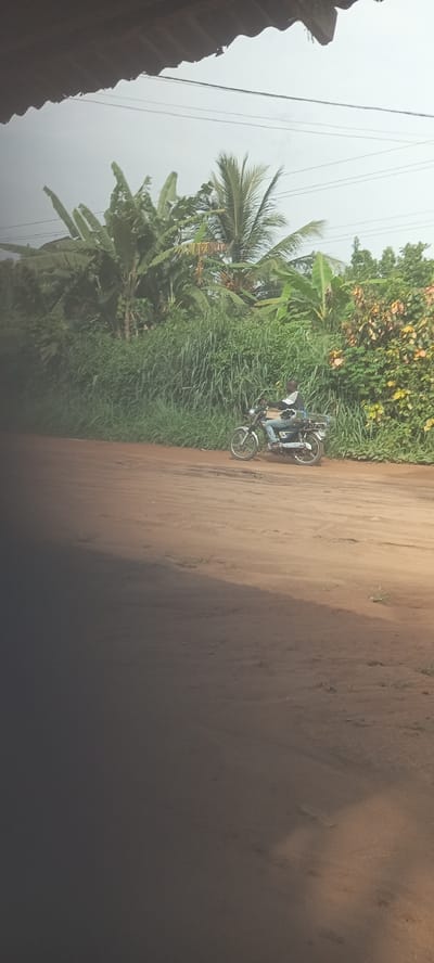 A medium shot depicts a man riding a motorcycle on a dirt road in Amauzu, Nigeria. The road is bordered by lush vegetation including tall grasses, banana trees and a palm tree. Overhead power lines are visible against a gray sky. The foreground is partially obscured by a dark shadow, possibly from an overhang. The man on the motorcycle is wearing a light-colored long-sleeved shirt, jeans, and a dark jacket. He appears to be the sole occupant and the motorcycle is carrying items secured behind the seat.