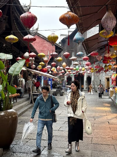 The scene depicts a pedestrian thoroughfare in Pengshui Miao and Tujia Autonomous County, China, characterized by traditional architecture and numerous overhead lanterns. The street, paved with damp stone blocks, recedes into the background under an overcast sky.
In the immediate foreground, a man and a woman walk from left to right. The man, on the left, wears a dark teal zippered jacket, a light-colored turtleneck, light blue jeans, and dark boots. He carries a dark shoulder bag on his left side and a closed transparent umbrella with a black handle in his right hand, pointed downwards. He wears glasses and looks slightly to his right. The woman, to his right and slightly behind him, wears a white puffer jacket, a prominent leopard print scarf, a long black skirt, and reflective silver winter boots. She carries a cream-colored shoulder bag on her left arm and appears to be speaking, with her mouth slightly open.
Above the street, an extensive array of traditional Chinese lanterns is strung horizontally at varying heights. These lanterns are diverse in shape (predominantly oval or teardrop-like), size, and color, including shades of red, yellow, orange, blue, pink, purple, and white, some featuring floral patterns.
Buildings lining the street display traditional Chinese architectural elements, including dark wooden structures with intricate eaves and grey brick facades. On the left, a large brown ceramic pot containing a plant with broad green leaves stands in the foreground, next to a market stall displaying textiles and other goods on racks and a table. A red-hued building facade is visible further up on the left. On the right, merchandise is visible within shopfronts. Further down the street, additional pedestrians are visible, including a person in a light coat and hat, and two women walking together. Raised stone benches or ledges are present on the left side of the street in the midground.