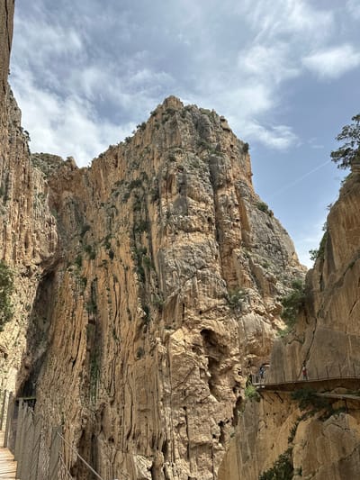 The image depicts a breathtaking view of a deep canyon or gorge, characteristic of the Caminito del Rey in Ardales, Spain. Towering, stratified rock cliffs, exhibiting shades of light brown, beige, and grey, dominate the scene, showcasing distinct horizontal layers and geological formations. Sparse green vegetation and small trees cling to the rugged surfaces and crevices of the rock walls.

High up on the right side of the cliff face, a suspended walkway or path, constructed from metal platforms and rails, is visible. Several people are traversing this walkway, appearing small in comparison to the immense scale of the rock formations. One individual wearing red and another in blue are distinctly visible, along with other distant figures, engaged in hiking or sightseeing.

Above the dramatic landscape, a bright sky with scattered white, wispy clouds is visible, suggesting daytime, likely late morning or early afternoon, with clear weather conditions. The overall atmosphere conveys a sense of grandeur and adventure. There is no visible text in the image.