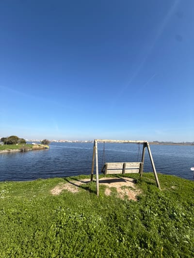 The image depicts a serene outdoor scene at Praia de Mira, Portugal, on a clear, sunny day. In the foreground, a patch of vibrant green grass leads to a rustic wooden swing set, featuring a bench-style seat suspended by chains from a wooden frame. The ground directly beneath the swing shows signs of wear, with patches of exposed earth. The swing faces a wide, placid body of dark blue water, likely a lagoon or canal, occupying the midground. To the left across the water, a narrow landmass with sparse trees and what appears to be a small yellow boat or structure is visible. On the far horizon, beyond the water, a distant settlement with numerous buildings, characterized by light-colored walls and reddish-orange roofs, stretches across the landscape. The sky above is a brilliant, cloudless blue, featuring a faint, linear white contrail from an aircraft in the upper right quadrant. No individuals are present in the scene.