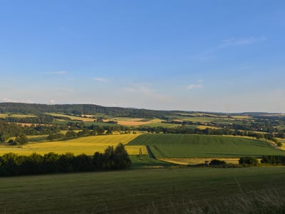 This is a panoramic, wide-angle, eye-level, daytime, outdoor photograph of a rural landscape in the vicinity of Schieder-Schwalenberg, Germany. The image captures rolling hills covered in a patchwork of agricultural fields and scattered trees. In the foreground, a grassy field stretches across the bottom of the frame. Behind it, a darker green field is neatly divided by rows of crops. Further into the scene, a bright yellow field, likely of grain or rapeseed, catches the sunlight. A dark green line of trees forms a border between the foreground and middle ground. In the distance, more rolling hills are visible, dotted with trees and fields of varying colors. Several wind turbines are positioned on the distant ridgelines. The sky is a clear, bright blue with a few wispy white clouds. The overall impression is one of a serene, cultivated agricultural landscape bathed in the warm light of late afternoon or early evening.