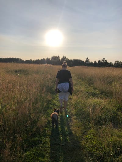 A person is walking a small dog through a field of tall, dry grass under a bright sun. The person is wearing a black t-shirt and light-colored shorts, with their hair pulled up in a bun. The dog, which is brown and fluffy, walks slightly ahead of the person. The sun is high in the sky, casting long shadows. The field is surrounded by a line of trees in the distance. The scene appears to be in a rural or semi-rural area.