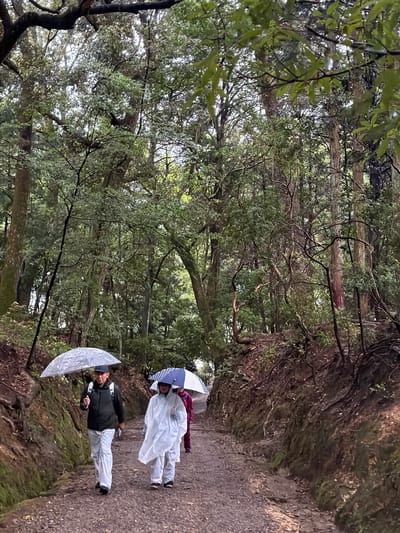 Three individuals walk along a damp, unpaved dirt path through a dense, verdant forest in Nara, Japan. The path is flanked by elevated banks of soil and exposed tree roots, covered in moss and various green foliage.
In the foreground, an adult male, likely Asian, walks towards the right. He wears a dark jacket, light pants, a dark baseball cap, and a dark backpack. He holds a large, clear or translucent umbrella with a faint white pattern. To his immediate right and slightly behind him, an adult person, gender obscured by a white, full-body rain poncho, also walks towards the right, holding a blue and white patterned umbrella. Further to the right and partially obscured by the second person, a third adult, wearing a dark pink or maroon rain jacket, follows, holding a white umbrella.
The overhead canopy of tall, leafy trees is dense, with various species showing green foliage and darker branches. The lighting is diffused, suggesting an overcast sky or deep shade within the forest. The ground of the path appears reddish-brown and textured with small stones and fallen leaves. The overall scene depicts a group traversing a forested trail during or after rainfall.