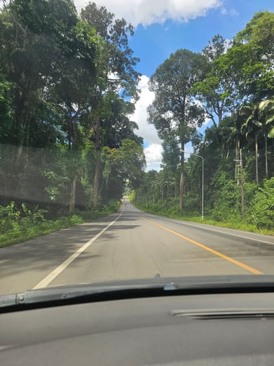 The image depicts a view from inside a vehicle driving on a paved road through a lush, tropical environment. Tall, dense trees with green foliage line both sides of the road, creating a canopy overhead in some areas. The road itself is asphalt, marked with a white line on the left and a yellow line on the right, indicating lanes of travel. In the distance, the road curves slightly, and a few other vehicles can be seen. The sky is blue with scattered white clouds. The foreground shows the dashboard of the vehicle, with the windshield partially visible. The scene is consistent with a road in a rural or semi-rural area of Ban Nai Sa, Thailand, characterized by abundant vegetation and a clear, bright day.