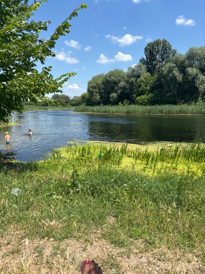 In Zmiiv, Ukraine, a scenic view of the Seversky Donets River is captured on a bright, sunny day. Lush green trees and vegetation line the riverbanks, with a dense forest forming a backdrop. The water is calm, reflecting the blue sky dotted with fluffy white clouds. In the foreground, the river's edge is covered in a vibrant green algal bloom. A few children are seen wading and swimming in the shallow water near the bank. The lower right corner of the image shows a close-up of a person's feet, with red-painted toenails, resting on dry grass. The scene conveys a sense of summer recreation and natural beauty.