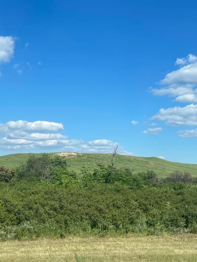 This is a landscape photograph taken outdoors, likely in Donskoe, Russia, as indicated by the location context. The image depicts a natural scene on a clear day, with a bright blue sky filled with scattered white clouds.
The foreground is dominated by a lush green hillside on the right, transitioning into a field of dried grass. A dense cluster of green trees and shrubs forms a boundary between the hillside and the grassy field. A single, bare tree branch is visible extending from the greenery, adding a point of visual interest. The hillside itself is covered in short, green grass, with some evidence of erosion or a path visible as a lighter-colored scar on its surface. The overall impression is of a rural or natural landscape under a sunny sky.
The time of day appears to be daytime, given the brightness of the sun and the clear blue sky. The weather is fair and sunny, indicated by the presence of the blue sky and white clouds. There are no people or specific man-made objects visible in the frame, suggesting a focus on the natural environment. No text is present in the image. The scene evokes a sense of peacefulness and natural beauty.