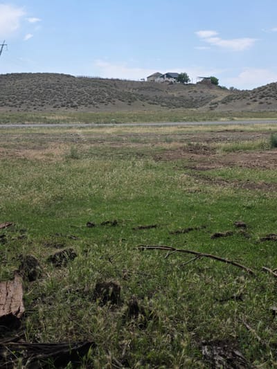 An outdoor, medium shot shows a gently sloping, grassy hillside in Poylu, Azerbaijan, under a pale blue sky with scattered white clouds. A paved road runs horizontally across the middle ground of the image. The foreground is filled with dense, green grass and some dry, yellowed stalks. Scattered throughout the grass are clumps of dark soil, some appearing freshly disturbed, and a large piece of weathered, light-colored wood to the left. A thin, dark branch lies across the grass in the mid-foreground. In the background, the hillside is covered in low-lying, dry brush. At the crest of the hill, several buildings are visible, including what appear to be houses with dark roofs and lighter walls. A tall, metal utility pole with wires is situated on the left side of the hillside. The overall scene depicts a rural or semi-rural landscape.