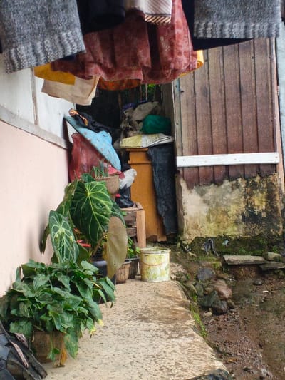 This vertical shot captures a narrow, functional outdoor passage alongside a building in Welaluhu, East Timor. Overhead, various items of clothing, including a grey knitted garment, a patterned reddish fabric, and lighter textiles, hang to dry, suggesting recent laundry activity.

Along the light peach-colored wall on the left, several potted plants thrive. In the foreground, a bushy plant with small green leaves sits on the concrete path. Behind it, a striking plant with large, dark green leaves and prominent light veins, likely an Anthurium or Alocasia species, stands out. Further along, a weathered, light-colored bucket with faded red and yellow marks rests near more potted plants.

The pathway is a damp, light-colored concrete or paved surface. To its right, the ground drops into a muddy, rocky area covered with moss and small plants, resembling a drainage ditch or natural terrain. The adjacent building features a weathered wooden facade on the right, above a lower wall section discolored by moss and dampness. A white horizontal plank separates these two parts of the wall.

In the cluttered background, beneath the drying clothes, various items are piled, including plastic bags (red, blue, green), what appears to be stacked materials, and dark fabric or tarpaulin, indicating a storage or utility space. The scene depicts an everyday, lived-in environment. The diffuse lighting and wet surfaces suggest an overcast day or recent rainfall. No visible text is present.