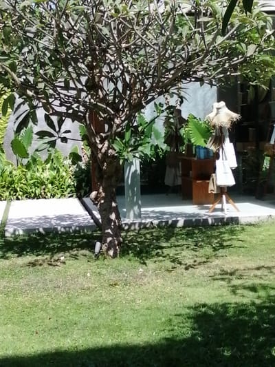 This image depicts an outdoor scene in Banyuwangi, Indonesia. The foreground is dominated by a lush green lawn with dappled sunlight and shadow from overhead trees. A mature tree with a textured trunk stands prominently on the right side of the frame. In the midground, a paved walkway or patio area is visible, bordered by dense green foliage. Behind the foliage, a structure with a light-colored wall is present. To the right of the tree, a small wooden display stand holds several white tote bags and a straw hat, suggesting a retail or market setting. The overall atmosphere is that of a sunny day in a tropical or sub-tropical environment, likely a garden or an outdoor commercial space.