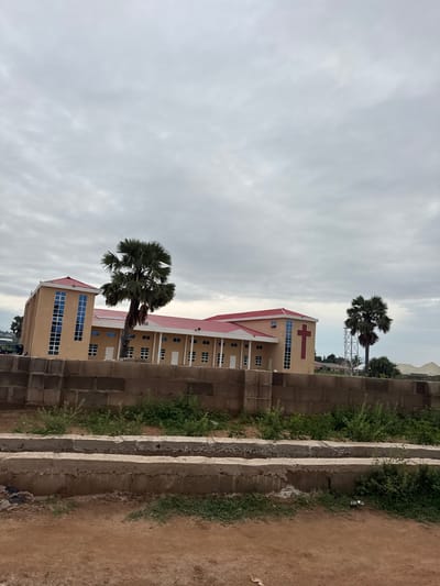 This image, taken in the city of Kason, Nigeria, depicts a large, modern building with a red roof and beige walls. The building features numerous blue-tinted windows arranged in a grid pattern. A prominent red cross is visible on the side of the building. Two palm trees stand in front of the structure, with one larger tree positioned closer to the viewer and a smaller one to the right. A low wall made of concrete blocks separates the building from a foreground area with dirt and vegetation. The sky is overcast with gray clouds.