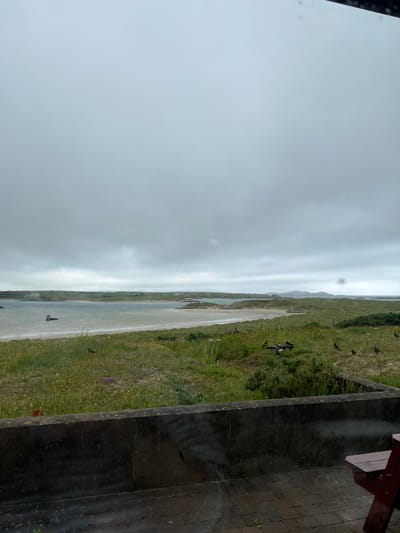 The image depicts a scenic view of a coastline in Bunbeg, Ireland, on an overcast day. In the foreground, a dark, weathered stone wall runs horizontally across the frame, with a red wooden bench partially visible to the right. Beyond the wall lies a grassy slope dotted with small yellow and purple wildflowers. A flock of dark birds is scattered across the grass.
Further into the scene, a sandy beach meets the calm, grey water of a bay. In the distance, rolling green hills covered in vegetation form the backdrop, with a few scattered houses visible on the slopes. The sky is predominantly grey and cloudy, with diffused light indicating a muted atmosphere. A small boat or floating object can be seen in the water on the left side of the image. The overall impression is one of a serene, natural landscape under a typical Irish sky.