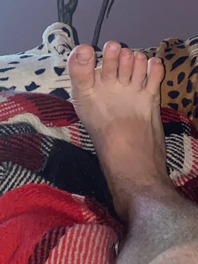 A person's foot rests on a blanket with a red, white, and black plaid pattern. Another blanket with a dalmatian-like pattern and a leopard print blanket are also visible. The setting appears to be indoors. The location in Zastavna, Ukraine is not discernible from the image.