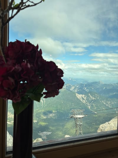 A view from a window in Ehrwald, Austria, looks out over a vast mountain landscape under a partly cloudy sky. In the foreground, a dark vase holds a cluster of deep red, artificial flowers, partially obscuring the lower left corner of the scene. The window frame, made of light brown wood, is visible along the bottom and left edge.

Beyond the flowers and window, layers of green, forested mountains recede into the distance, interspersed with rocky peaks. A prominent cable car tower, a steel structure with multiple cables stretching across the frame, stands in the mid-ground. Below and to the left of the tower, a small village or cluster of buildings is nestled amongst the trees. The sky is a mixture of bright blue and scattered white clouds, with some wispy formations stretching towards the horizon. The overall impression is one of serene natural beauty, framed by the interior of a building.