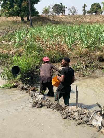 Two people are drawing water from a river or muddy pond. The person on the left, wearing a reddish head covering and dark clothing, assists the other person, who is filling a yellow bucket from the water. A black bucket sits on the bank near them. Lush green vegetation grows on the bank and in the background, alongside a drier, grassy field with scattered trees. Mud and exposed roots line the water's edge. The water is murky, suggesting a shallow or stagnant body.