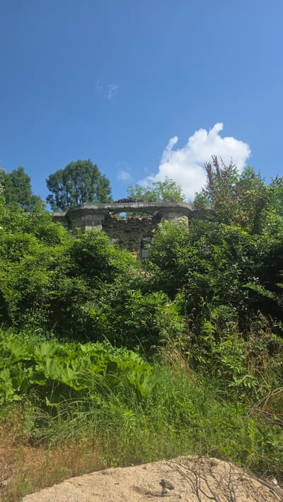 The image captures a sunny day in Boltata, Bulgaria, with a clear blue sky dotted with fluffy white clouds. In the foreground, lush green vegetation, including large-leafed plants and tall grasses, dominates the scene, with some dry, light brown grass and sandy soil visible at the bottom. Rising above the dense foliage is a partially ruined stone structure, likely an old architectural remnant. The structure features stone arches and crumbling walls, overgrown with more greenery, suggesting it is an abandoned site. Tall trees with full green canopies are visible behind and around the ruins, further emphasizing the natural, wild setting. The overall impression is one of nature reclaiming a historical structure.