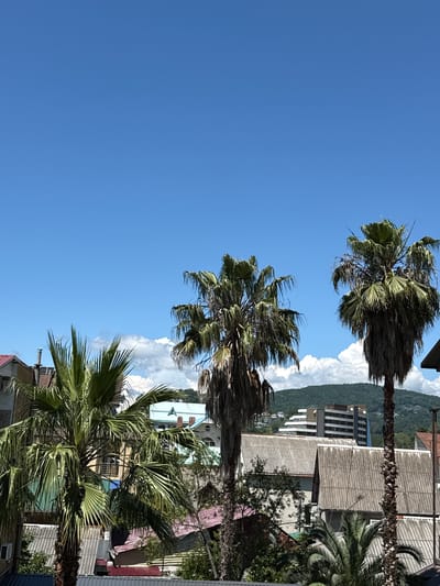An outdoor, eye-level, full shot shows a clear blue sky above a cluster of buildings and palm trees in Adlerskiy, Russia. Three large palm trees with full fronds dominate the foreground. In the middle ground, a collection of residential and commercial buildings with varied rooflines and colors are visible. Some buildings have corrugated metal roofs, while others have red or light blue tiled roofs. A chimney extends from one building. In the background, a lush green mountain slopes upward, dotted with more buildings and trees. The scene appears to be captured on a sunny day.