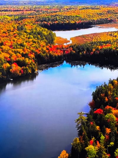 This is an aerial, wide-angle photograph showcasing a vibrant autumn landscape. The foreground is dominated by a tranquil, dark blue lake that reflects the sky and surrounding trees. The lake's surface is smooth, with subtle ripples.

Along the edges of the lake, dense forests display a spectacular array of fall foliage. The trees are a rich tapestry of colors, including bright yellows, fiery oranges, deep reds, and dark greens. The leaves create a dramatic contrast against the blue water and the sky.

In the mid-ground, a smaller body of water, possibly a connected channel or inlet, is visible. This area is surrounded by marshy land and trees with similar autumn coloration. The landscape extends into the background with rolling hills covered in a dense forest, also displaying the characteristic fall hues. The distant horizon is a hazy blend of muted colors, suggesting a vast expanse of wilderness.

The scene appears to be a natural environment, likely a lake and forest area, captured during the peak of the autumn season. There are no visible people or man-made structures, except for what appear to be two small docks or jetties extending from the shore into the larger lake in the lower left and middle right of the image. The lighting suggests it is daytime, with clear skies above. The image is sharp and detailed, allowing for the observation of individual leaves and tree branches.

This image does not depict Gorzow, Poland. Gorzow is a city with urban and industrial features, and this image clearly shows a natural, undeveloped landscape.