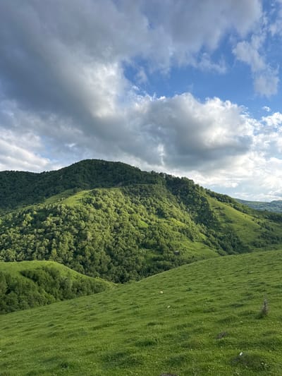The media file depicts a vast, verdant mountain landscape under a sky dotted with white and gray clouds. The scene is oriented vertically, suggesting it was taken on a phone that was held sideways.
The foreground is dominated by rolling green hills covered in thick grass. Patches of darker earth are visible amongst the grass, and a few small white objects, possibly sheep, are scattered across the slopes.
Further into the background, the terrain becomes steeper and is covered in a dense forest of green trees. The tree line forms a textured edge against the sky. The sky itself features patches of bright blue interspersed with voluminous, fluffy clouds, some of which are tinged with gray, indicating the possibility of passing showers.
The lighting suggests it is daytime, likely mid-morning or afternoon, with the sun occasionally breaking through the clouds. The overall impression is one of natural beauty and serenity, a remote and wild landscape. There is no visible text in the image.
The location context provided is Верхняя Мара, Russia. This suggests the image was captured in this mountainous region.