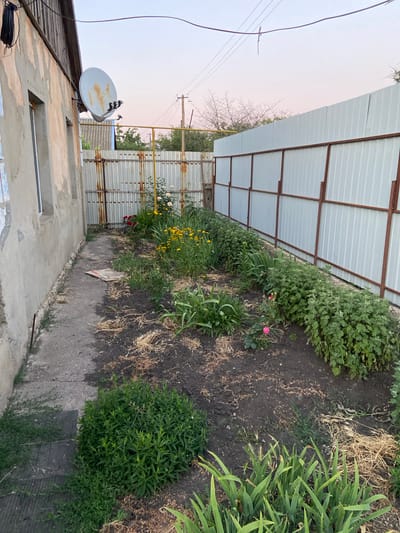 The image shows a narrow backyard in Rozkvit, Ukraine, with a house on the left and a white metal fence on the right. A satellite dish is mounted on the exterior wall of the house. The yard is partially paved with a concrete walkway and has a garden bed with various plants, including flowers, green bushes, and tall green stalks. Some dried grass and straw are scattered on the ground in the garden. In the background, there are more fences and trees. The sky is a light pinkish-blue, suggesting it is either dawn or dusk. There are no people visible in the image.