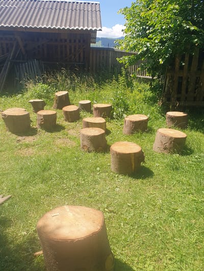 The image depicts a sunny outdoor scene in Staishche, Ukraine, likely during daytime. A collection of cut logs, of varying sizes and thicknesses, are arranged in rows on a green grassy lawn. The logs appear to be freshly cut, with visible wood grain and bark. Some of the logs are positioned upright, while others lie horizontally. In the background, a wooden fence and lush green foliage are visible, suggesting a rural or garden setting. A corrugated metal roof structure is also present on the left side of the image, possibly a shed or outbuilding. The overall impression is one of preparing firewood or perhaps an outdoor display of lumber. The bright sunlight creates distinct shadows, indicating clear weather. No people are visible in the image, and there are no discernible emotions conveyed. One of the larger logs in the foreground has a small, light-colored rectangular tag or marker on its surface.