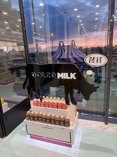 This is an indoor shot of a display for "Dolce Milk" products, likely inside a store or cafe. The scene features a glossy black cow-shaped sign with the words "DOLCE MILK" stacked vertically in white letters. To the right of the sign is a white shelving unit stocked with various flavors of "Dolce Milk" drinks in bottles. The shelving unit has a pink accent color on its side. In the background, there is a large window reflecting the outside environment, showing a view of Novoaleksandrovka, Russia. One can see buildings, streetlights, and a pink sunset sky reflected in the glass. There is also a "Hi!" logo on the window, partially obscured by the cow sign. A striped awning or tent is also visible in the reflection, suggesting an outdoor event or nearby structure. The floor appears to be light-colored, possibly tile or linoleum. The scene is well-lit, possibly by artificial lighting inside the store.