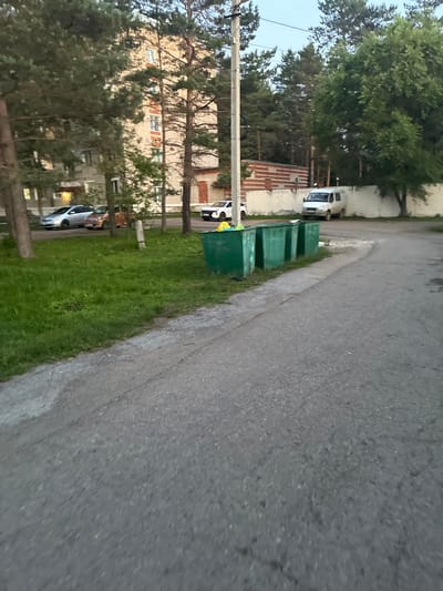 In Gornye Kljuchi, Russia, an outdoor scene captures a residential area with a paved road in the foreground. To the left, lush green grass borders the road, leading to a building with multiple windows and a brick facade, partially obscured by tall pine trees. Several parked cars, including a silver sedan and a red sedan, are visible in front of the building. Across the road, a row of three green garbage bins stands prominently, with some yellow and blue bags visible inside one of them. Beyond the bins, a white van is parked near a white wall, which is adjacent to another brick building. The background is filled with a dense forest of pine trees, and the sky above appears overcast.