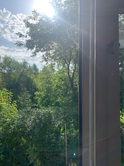 The image captures a view of lush green trees and foliage bathed in bright sunlight, seen from what appears to be a window. The sun is high in the sky, casting a strong glare that creates lens flares across the image. A portion of a window frame, with visible vertical molding and a latch on the right side, occupies the foreground and right portion of the frame, suggesting the perspective is from indoors looking outwards. The foliage is dense and varied, with some trees showing more distinct branches and leaves than others. The sky visible through the leaves is bright blue with scattered white clouds. The overall impression is a sunny day in a verdant, possibly suburban or park-like setting. This scene is consistent with the environment found in Novouralsk, Russia, known for its abundant greenery and residential areas interspersed with natural landscapes.