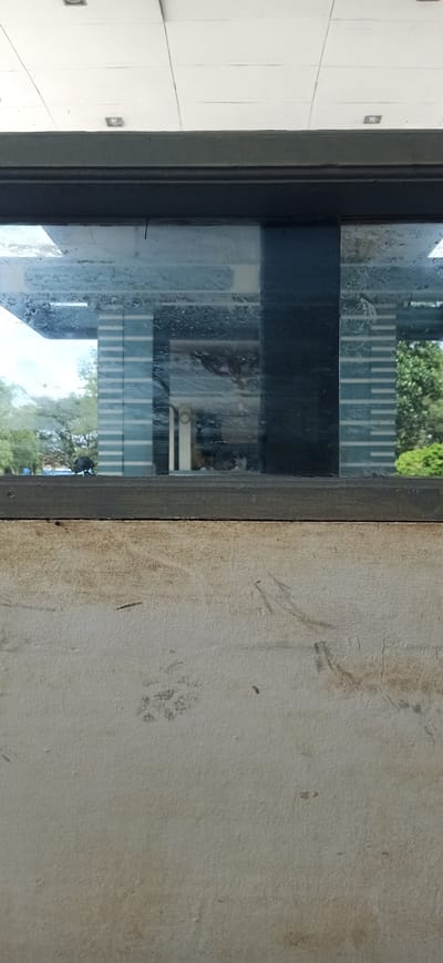 The image shows a section of a building's exterior, viewed through a window. The foreground consists of a textured, off-white wall with some dirt smudges. Above the wall is a dark grey window frame. The window itself is dirty and streaked, reflecting the interior of a building, which appears to be a modern structure with a white, tiled ceiling and some dark vertical elements. Through the window, one can also see the exterior environment, including trees and a building with a facade of horizontal blue and white stripes. The overall scene is likely of a public building or office space, given the architectural style. There are no people visible in the image.