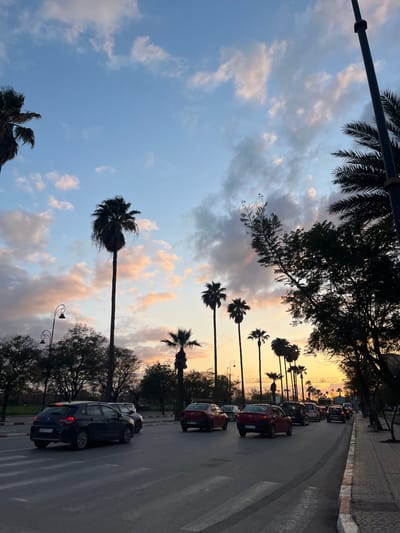 The image depicts a twilight scene on an urban thoroughfare in Mechouar Fes Jdid, Morocco. The sky exhibits a gradient from light blue at the zenith to pale orange and yellow near the horizon, with scattered stratocumulus clouds showing pink and grey hues. Numerous tall palm trees, silhouetted against the declining light, line both sides of the asphalt road and extend into the background. Other deciduous trees are visible on the left side, further down the road, and along the right-hand sidewalk.
The multi-lane road contains vehicular traffic. In the foreground, a dark-colored hatchback, possibly a black Citroën C4, is positioned in the left lane, facing away from the viewer with its taillights illuminated. Further down the right lane, a queue of vehicles is present, including at least two red hatchbacks. No distinct individuals are visible. Streetlights with decorative, curved arms are visible on the left side of the road. A tall, dark pole is partially visible on the far right, near the edge of the frame. A concrete sidewalk with a curb borders the right side of the road.
