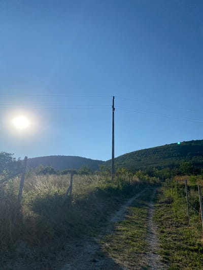 This is a vertical, eye-level, full shot image of a sunlit dirt path leading up a grassy hillside in Sushina, Bulgaria. The sun is shining brightly on the left side of the image, casting a glare. A utility pole stands tall in the center of the frame, with power lines stretching across the sky. The path is flanked by dry grass and some green vegetation. In the background, a lush green hill rises, covered in trees and bushes, under a clear blue sky.