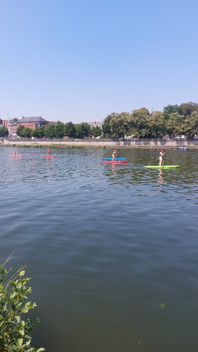 The image shows a serene scene of a canal or river with several people engaged in watersports. The camera is oriented vertically, capturing the water, the canal bank with trees and buildings, and the clear blue sky. 

In the water, there are at least four individuals on kayaks or paddleboards. One person is on a bright green paddleboard near the top of the frame. Below that, two people are on a red and blue paddleboard, positioned side-by-side. Further down the canal, another person is on a red paddleboard. The lowest visible person is also on a red paddleboard. The water is calm with gentle ripples reflecting the clear sky.

The canal bank is lined with lush green trees, suggesting a warm day. Behind the trees, buildings can be seen, indicating an urban or semi-urban setting. The architecture of the buildings suggests a European location, consistent with the provided location context of Namur, Belgium. The overall atmosphere is peaceful and recreational. The bright sunlight and clear sky suggest it is daytime, likely mid-morning or afternoon, on a pleasant weather day. There is no visible text in the image.