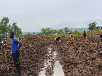 A group of people work in a muddy, plowed field. Some wield tools, seemingly digging or tilling the soil. A large mound of dark soil or compost sits in the center of the field. One man stands in the foreground, holding a tool, facing left, with his hands on his hips. Trees line the horizon beneath a cloudy sky, with what appears to be a settlement in the background. Water-filled furrows cut through the freshly turned earth, reflecting the sky.
