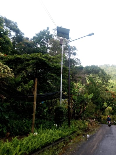A rural road winds past lush vegetation. Ferns and other green plants line the roadside. A solar-powered street light stands amidst the dense foliage. In the distance, a person rides a motorcycle on the road, heading away from the viewer. The sky is overcast, creating soft, diffused light across the scene. Hills rise in the background, covered in trees.