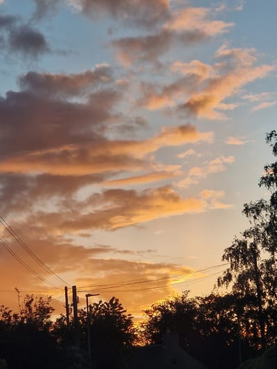 The image shows a sky with striated clouds colored in shades of pink, orange, and gray. The sky transitions to a light blue in the left side of the frame. In the lower right, silhouetted trees and utility poles with wires are visible. The location cannot be determined from the image.