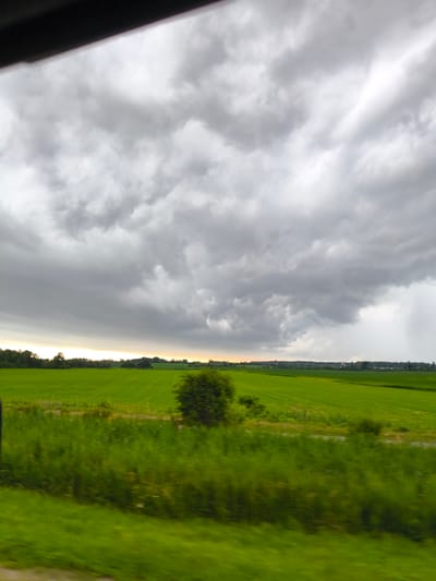 This media file depicts a vast, green agricultural field under a dramatic, cloudy sky. The field occupies the majority of the frame, with rolling contours suggesting gentle inclines. A line of trees forms the horizon, interspersed with a few distant buildings, suggesting a rural setting. In the foreground, a blur of green vegetation, likely grass and foliage, indicates movement, possibly from a vehicle. The sky is filled with heavy, grey clouds, suggesting an overcast or stormy day. There are hints of a pale yellow or orange glow on the horizon, implying either sunrise or sunset, though the dominant cloud cover obscures a clear view of the sun. The overall mood is somber and somewhat dramatic, due to the ominous sky. The scene is a landscape, with no people or distinct objects visible beyond the natural elements and distant structures. There is no visible text in the media file. The location context is Pointe-Fortune, Canada.
