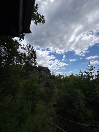 The image captures a natural scene with a dramatic sky and lush greenery, likely taken in Dolno Drianovo, Bulgaria. The composition is oriented vertically, giving a sense of looking upwards. The sky is a prominent feature, filled with a mix of dramatic, swirling grey clouds and patches of bright blue sky dotted with smaller white clouds. This suggests a dynamic weather condition, possibly a day with passing showers or a mix of sun and clouds.
In the foreground, on the left side of the frame, a dark, angular object is visible, possibly the edge of a wooden structure or roof. Beyond this, a cluster of green trees, some with distinctive lobed leaves, reach towards the sky.
Dominating the right side of the image is a steep, rocky cliff face, partially obscured by dense green foliage. Trees and branches, some silhouetted against the sky, grow from the cliff and surround its base, adding to the wild, untamed feel of the landscape. The overall impression is one of a rugged, natural environment.
The lighting suggests it might be daytime, perhaps late afternoon, given the contrast between the bright sky and the shaded areas of the trees and cliff. There is no visible text in the image. The scene evokes a sense of natural beauty and the power of the elements.