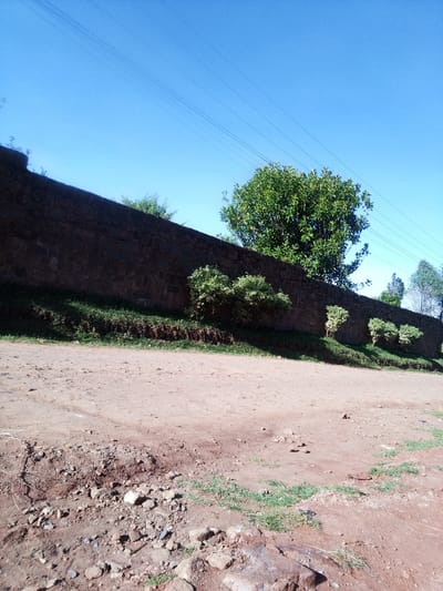 The scene is in Bibirioni ward, Kenya. It depicts a dirt road with a stone wall running along its edge. The wall is partially covered by grass and various bushes, including a prominent tree. Power lines are visible in the sky above the wall. The foreground shows a rocky, uneven section of the dirt road. The sky is clear and blue. There are no people visible in the image.